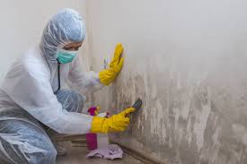 Best Biohazard Mold Removal  in Mills River, NC